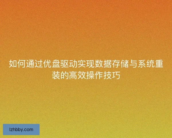 如何通过优盘驱动实现数据存储与系统重装的高效操作技巧