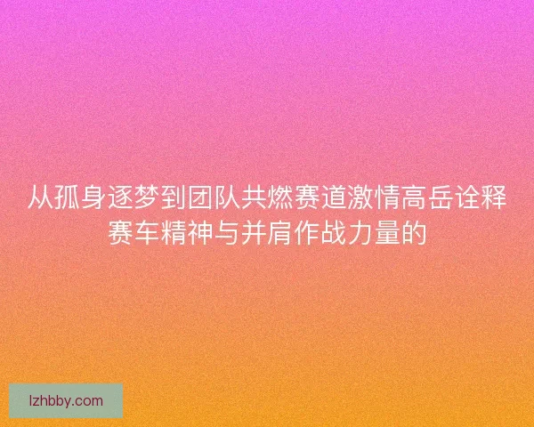 从孤身逐梦到团队共燃赛道激情高岳诠释赛车精神与并肩作战力量的