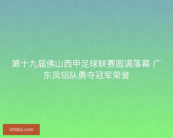 第十九届佛山西甲足球联赛圆满落幕 广东凤铝队勇夺冠军荣誉